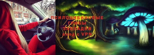 PSILOCYBIN Алзамай
