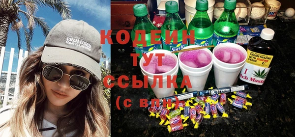 PSILOCYBIN Алзамай