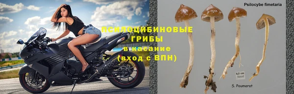 mix Алексеевка