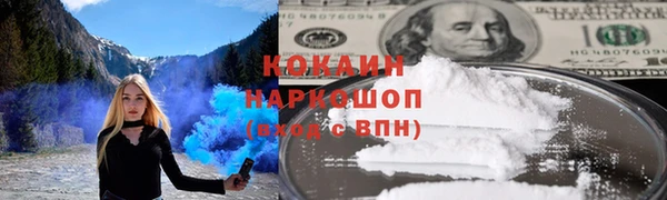 PSILOCYBIN Алзамай