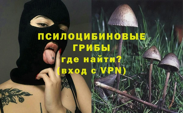 соль ск Алексин