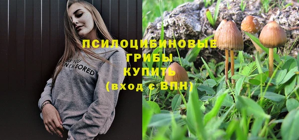 PSILOCYBIN Алзамай